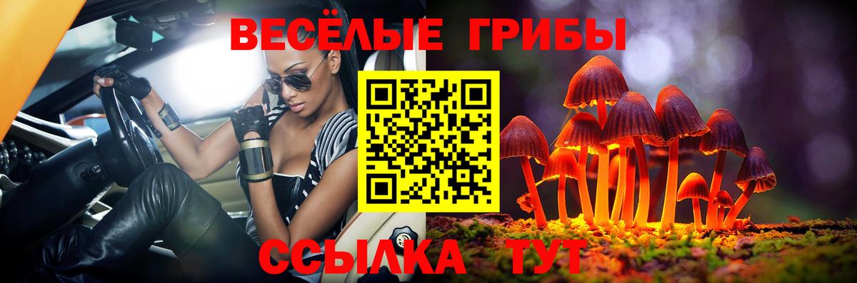 Псилоцибиновые грибы Psilocybe Зима