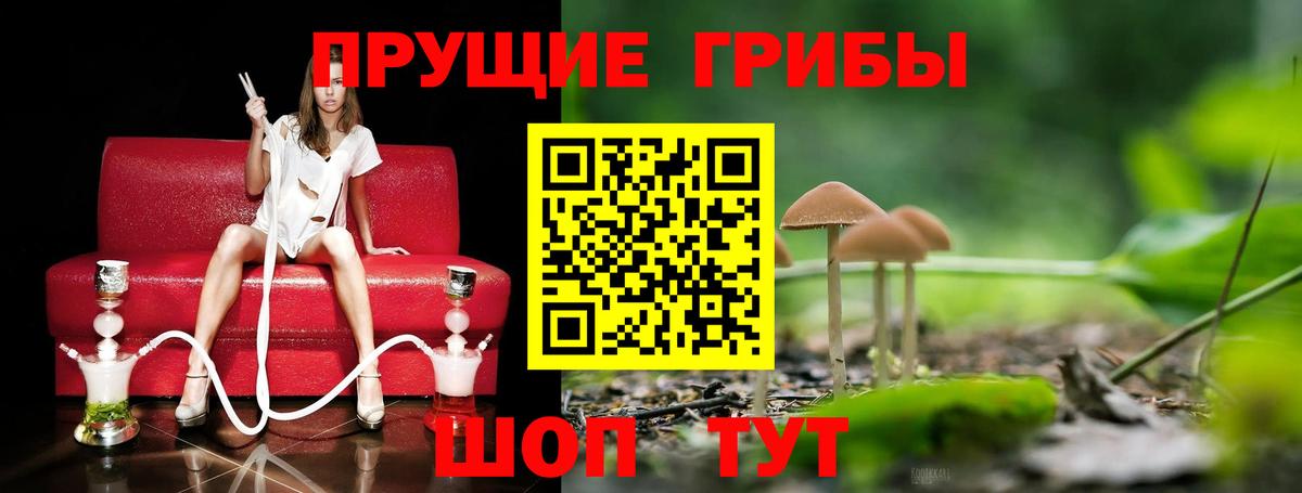 Галлюциногенные грибы Cubensis  Вход с VPN  Галлюциногенные грибы мухоморы  Зима 